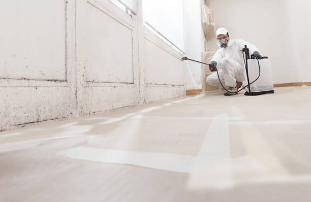 24/7 Emergency Attic Mold Removal experts in Florence, TX
